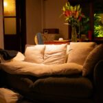 Create a Cozy Evening Routine for Relaxation